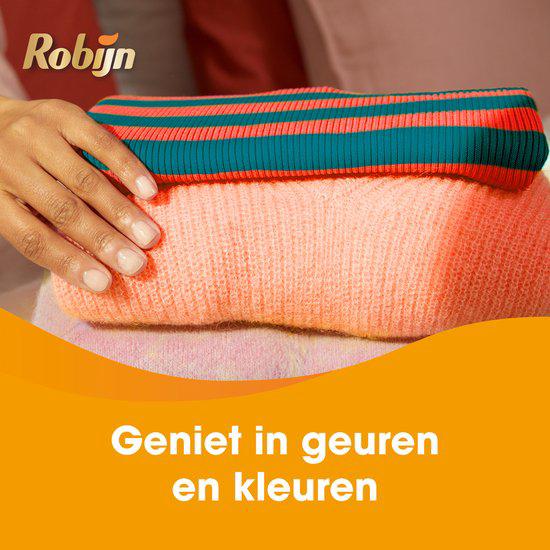 Robijn Vloeibaar Wasmiddel Color 4x22 Wasbeurten