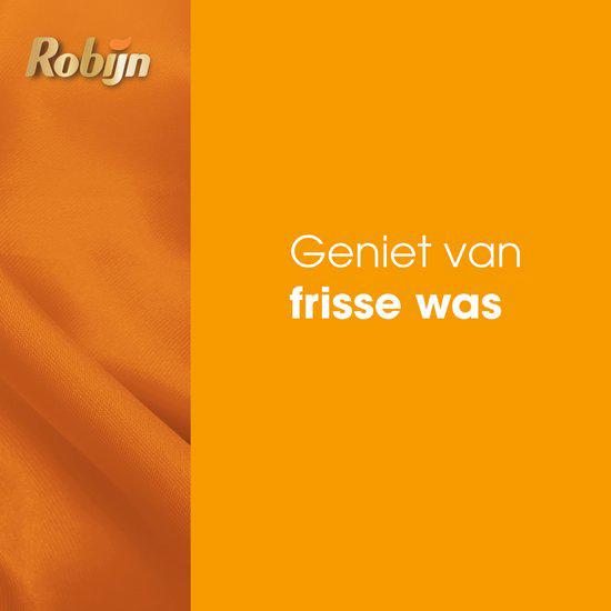 Robijn Vloeibaar Wasmiddel Color 4x22 Wasbeurten
